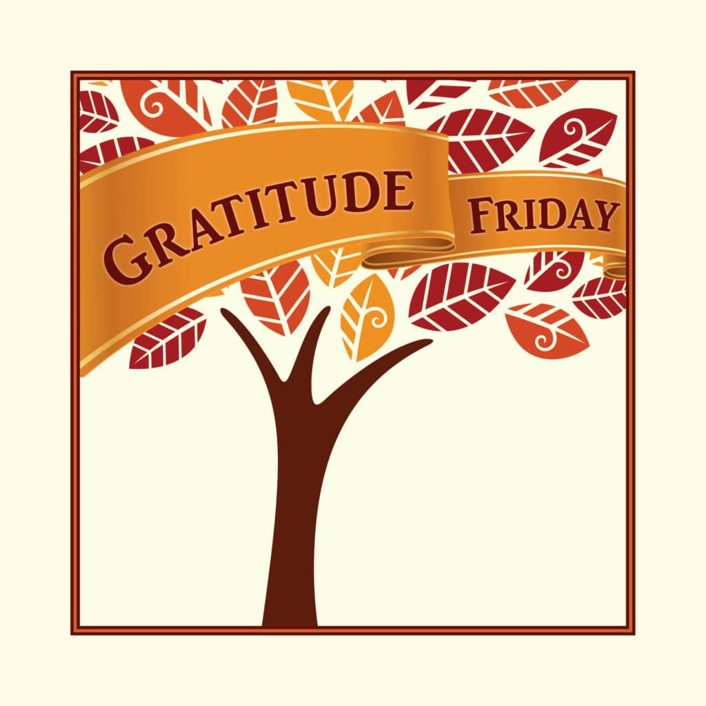 Gratitude Friday